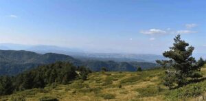 Поглед кон шума од планината Кожув