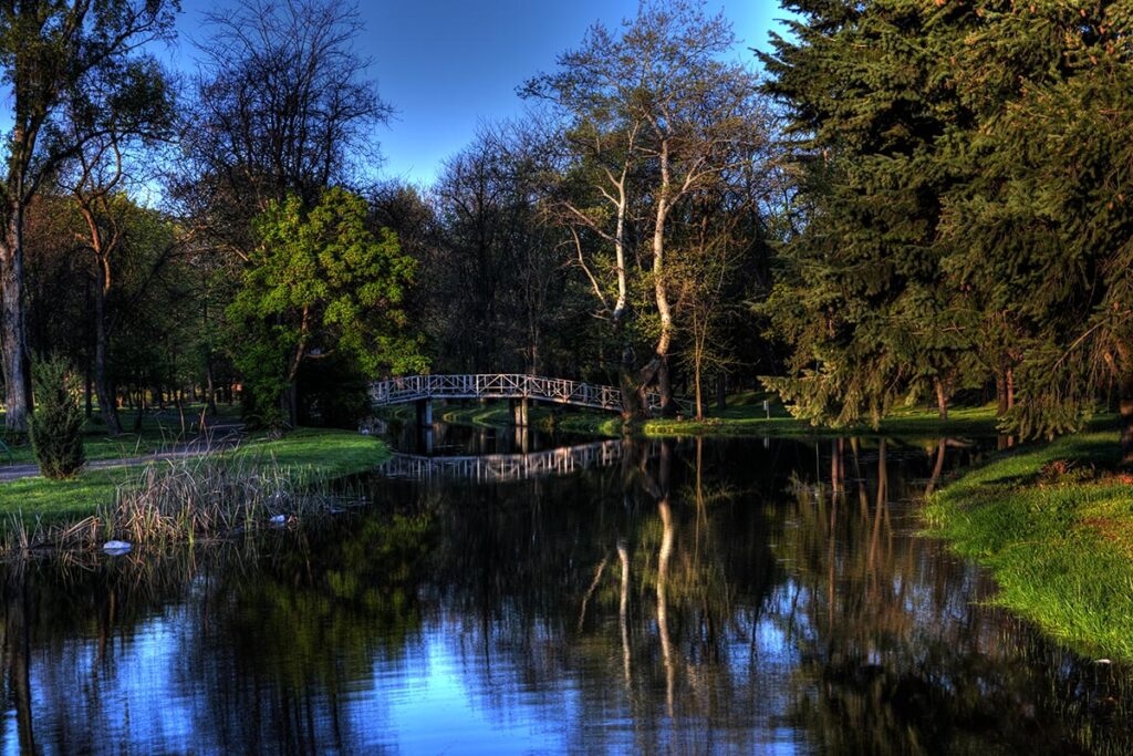 Фотографија од езерце во градскиот парк во Скопје, опкружено со дрвја и зелени површини.